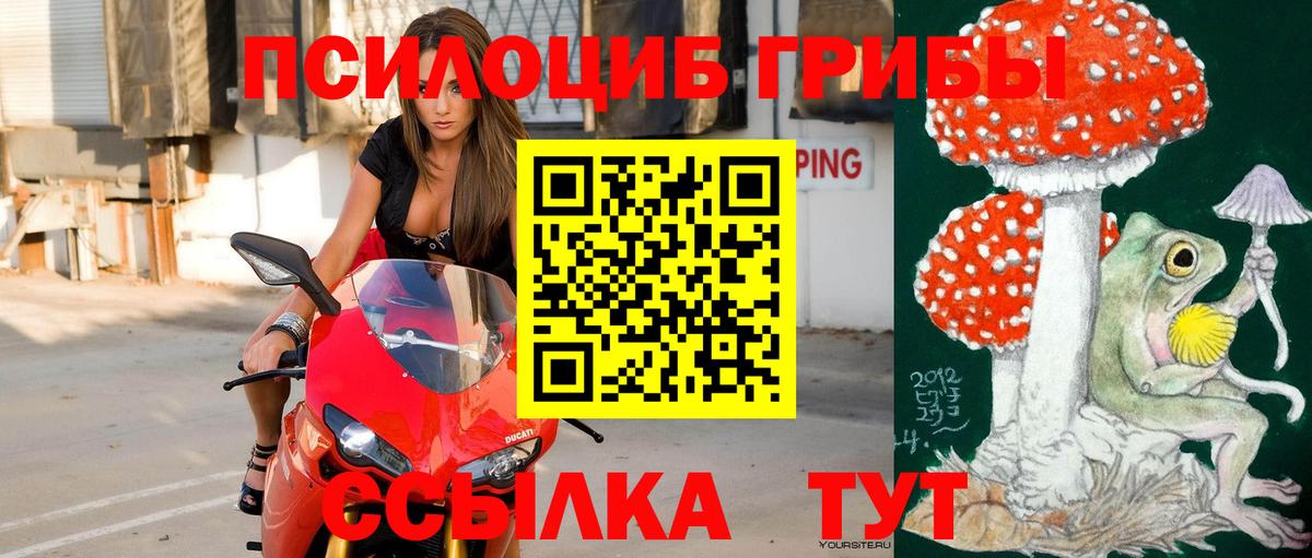 Галлюциногенные грибы прущие грибы Петропавловск-Камчатский