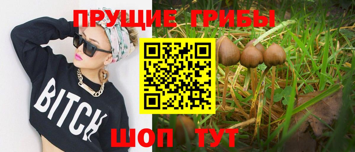 Псилоцибиновые грибы GOLDEN TEACHER  Вход с VPN  где продают наркотики  Петропавловск-Камчатский 